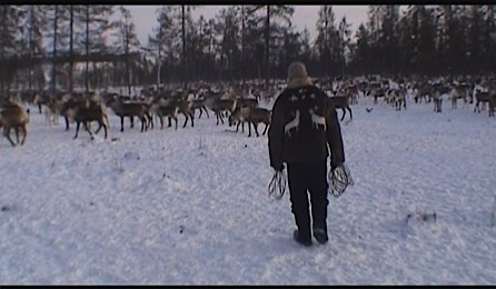 Путь к солнцу